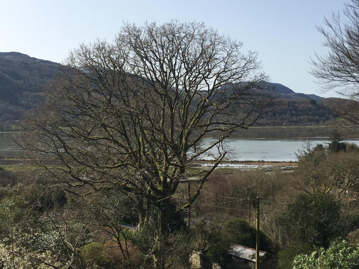 ドルゲラウ Snowdonia Mawddach Escapeヴィラ エクステリア 写真