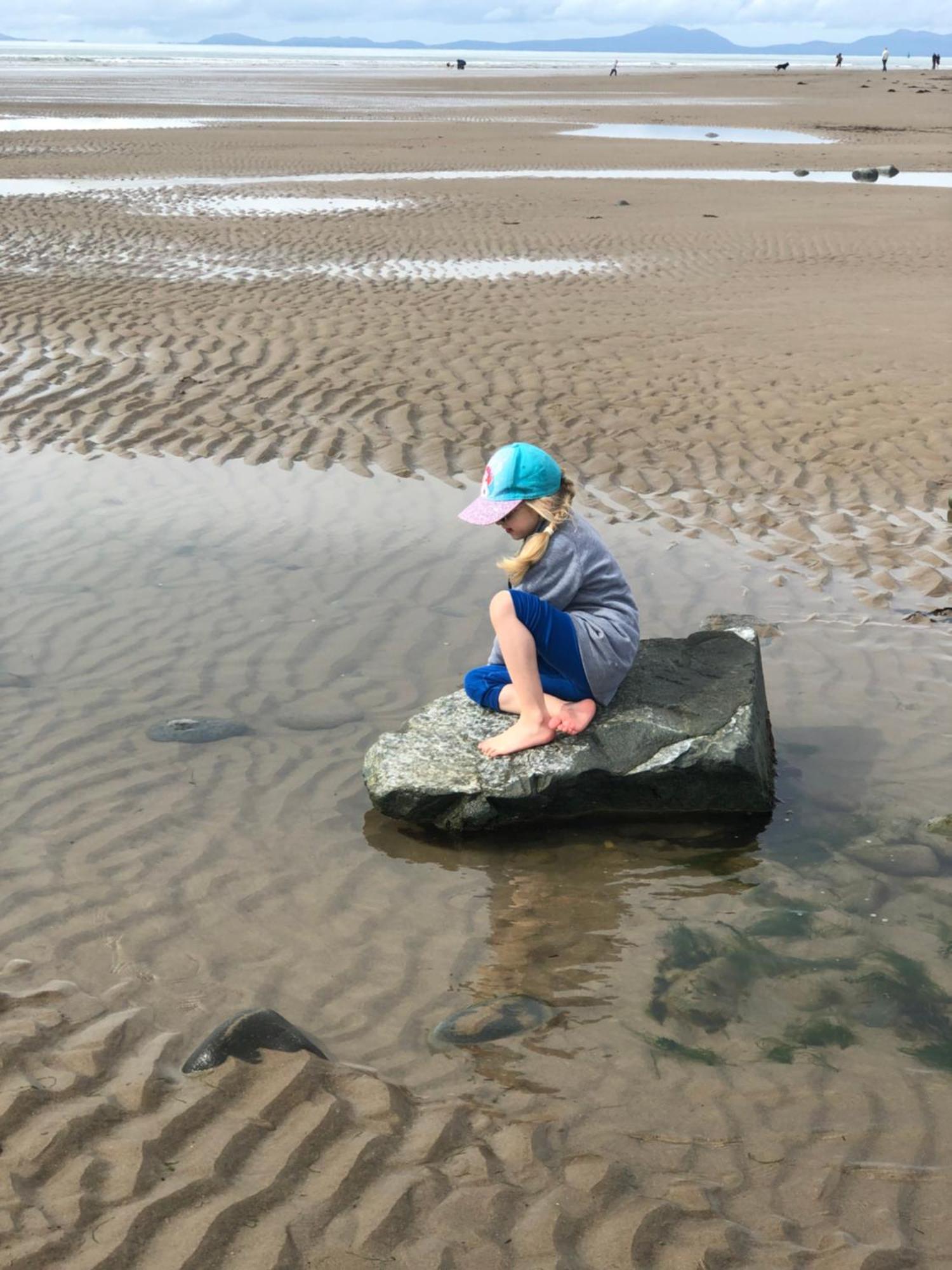 ドルゲラウ Snowdonia Mawddach Escapeヴィラ エクステリア 写真