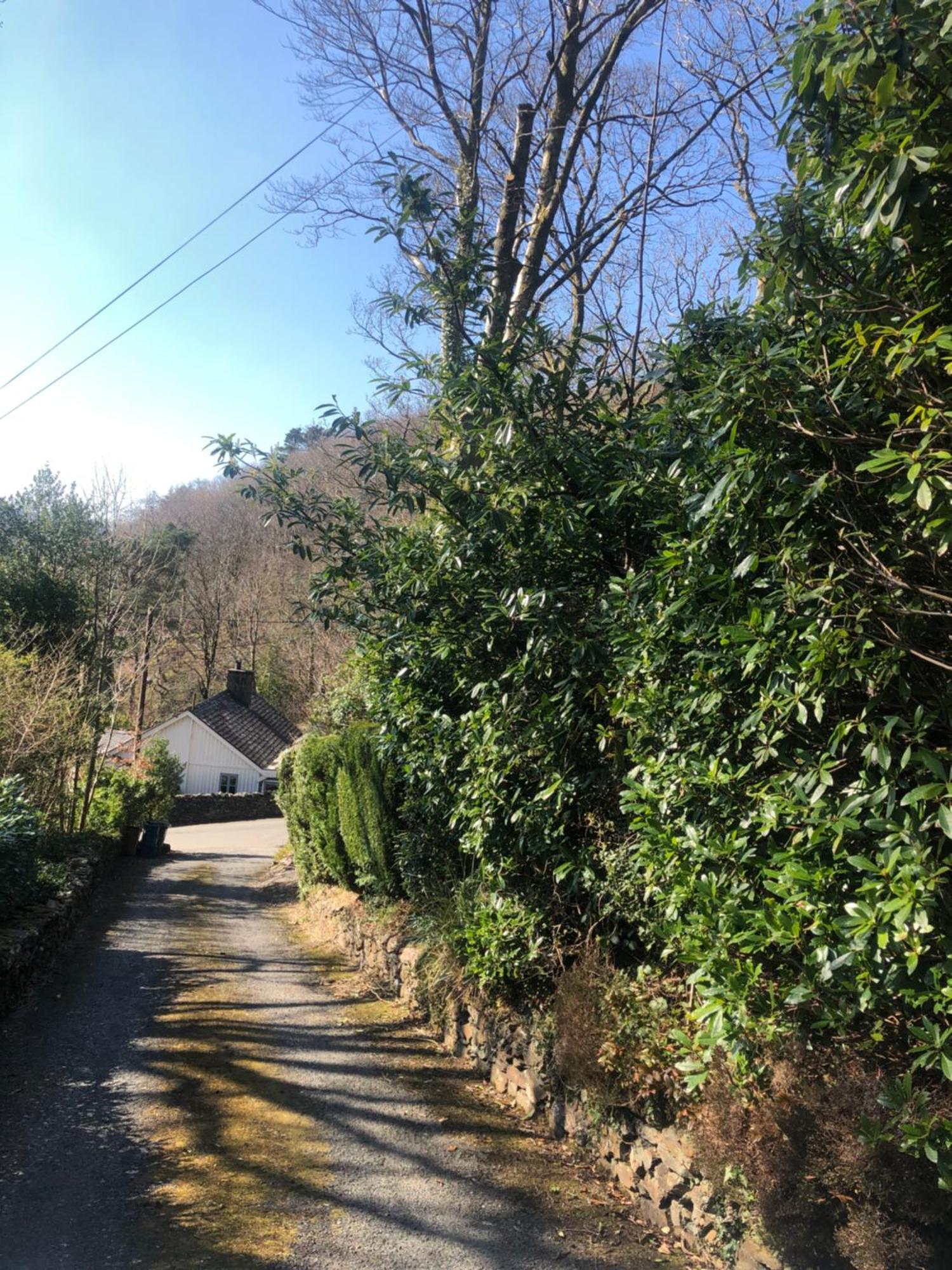 ドルゲラウ Snowdonia Mawddach Escapeヴィラ エクステリア 写真